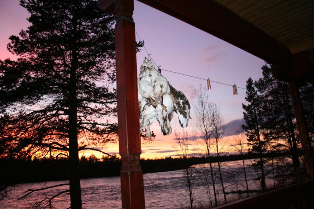 Luongasloma Chalets Palojoensuu Quarto foto